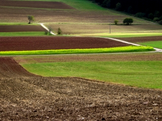 Herbstfelder im Oktober